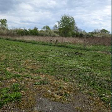 Сторожниця, Ужгородський, Закарпатська область 60000.0 USD