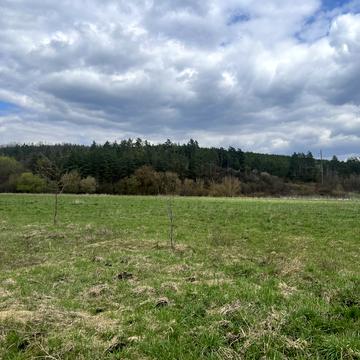 Івачів Долішній, Тернопільський, Тернопільська область 150000.0 USD