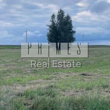 Ясногородка, Вишгородський, Київська область 150000.0 USD
