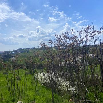 Водяний провулок, 19