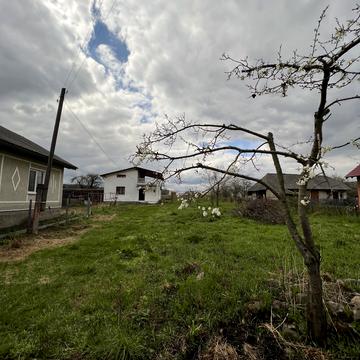 Брукована, 47