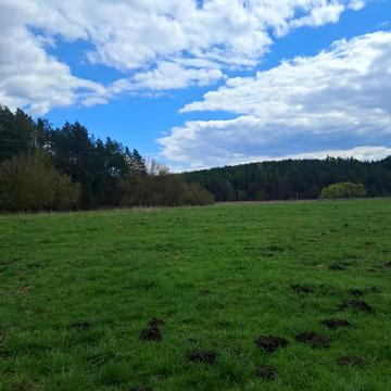 Івачів Долішній, Тернопільський, Тернопільська область 150000.0 USD