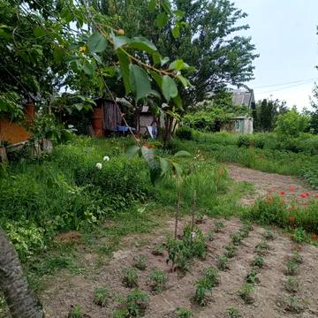 Михалевича вул.