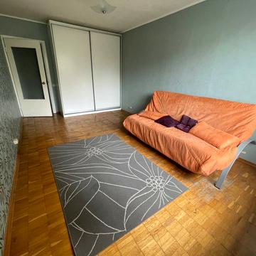 Пантелеймона Куліша вул. (Челябінська), 17