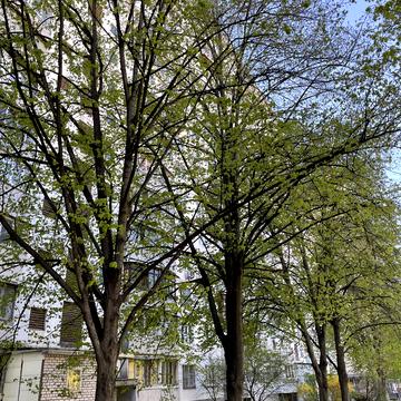 Голосіївський просп. (40-річчя Жовтня), 11