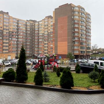 Марії Примаченко вул., 8в