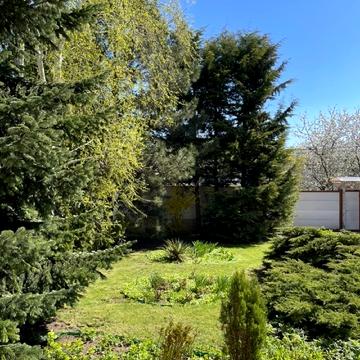 Ореховая, 17