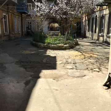 Ватманський пров., 6