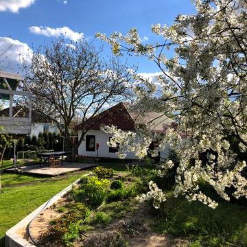 Івана Кудрі пров.