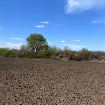 Сергія Зулінського вул. (Тарногродського)