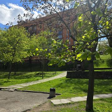 Старокозацька вул. (Комсомольська), 54