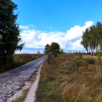 Гостомель, Бучанський, Київська область 11700.0 USD