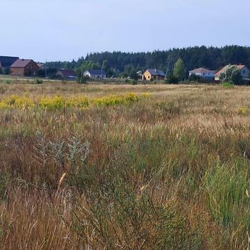 Блиставиця, Бучанський, Київська область 18000.0 USD