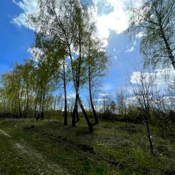 Хмільник, Хмільницький, Вінницька область 8000.0 USD