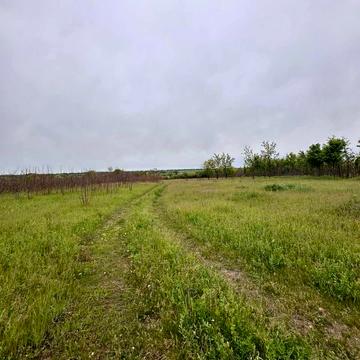 Дарвіна вул.