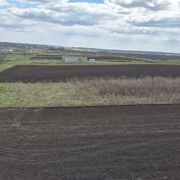 Барвінкова