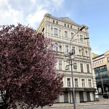 Володимирська вул., 48