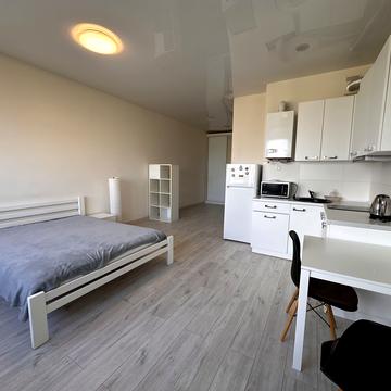 Академіка Писаржевського вул., 8