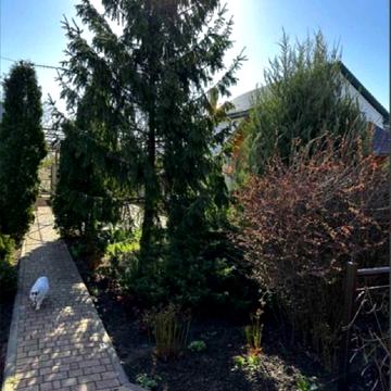 4-та вулиця, 222