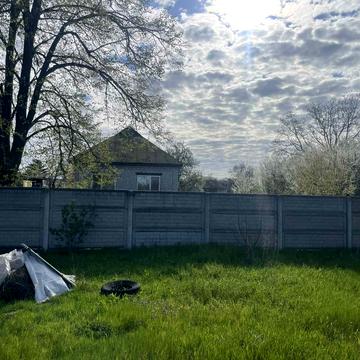 Олександра Гольца, 43