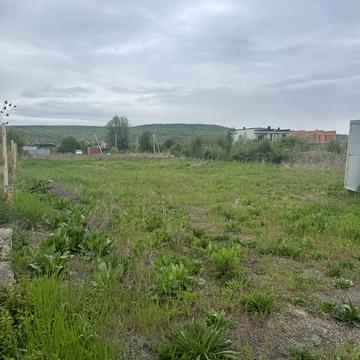 Зелена
