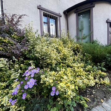 Незалежності вул.