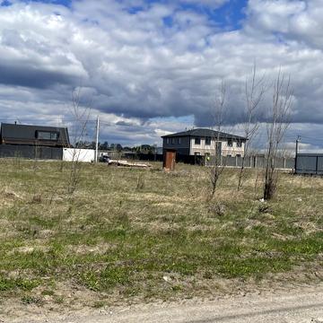 Розмаринова