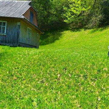 Микуличин, Надвірнянський, Івано-Франківська область 60000.0 USD