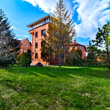 абрикосова, 1