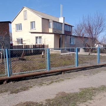 Пантелеймона Куліша