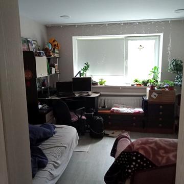 Велика Жихорська вул. (Желєзнякова), 100