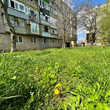 перспективна, 5