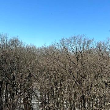 Праведників Світу вул., (Будинок 9)