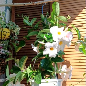 Костанайська вул., 14