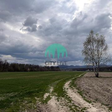 Старі Кути, Косівський, Івано-Франківська область 12500.0 USD