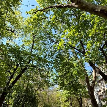 Люстдорфська дорога вул., 54б