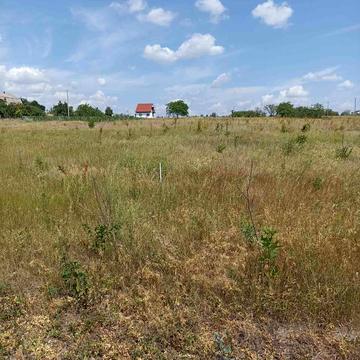 Ольвіопольська