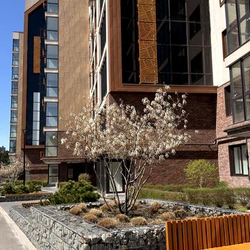 Динамівська вул., (Будинок 1)