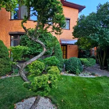 Динамо вул.