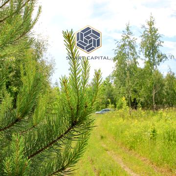Дмитрівка, Бучанський, Київська область 14000.0 USD