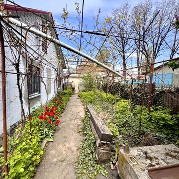 Петра Лещенка вул. (Комінтерну), 53