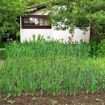 Івано-Франківськ, Івано-Франківська область 36800.0 USD