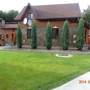 Крива