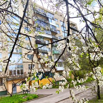 Івана Дзюби вул. (Сімї Сосніних), 2-А