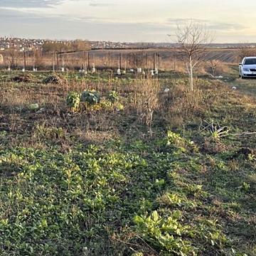 Байківці, Тернопільський, Тернопільська область 25000.0 USD