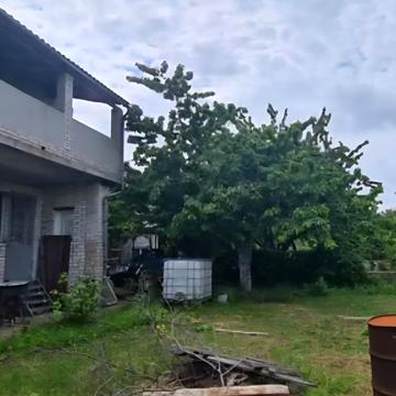 Чайка