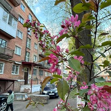 Генерала Безручка вул., 12