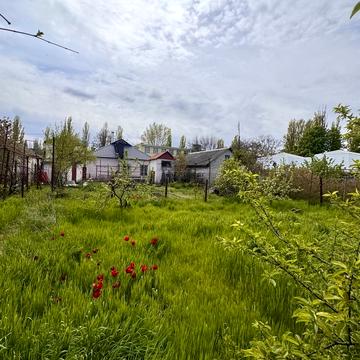 Петра Лещенка вул. (Комінтерну), 180