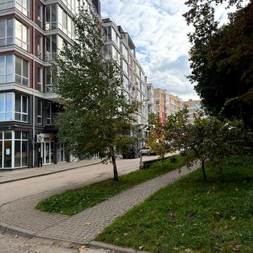 Володимира Великого вул., 3