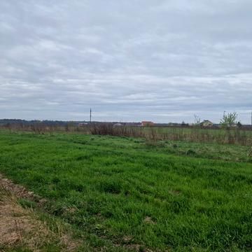 Басівка, Львівський, Львівська область 315000.0 USD